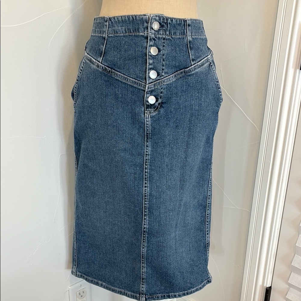 AG JEANS HEBE BUTTON UP SKIRT